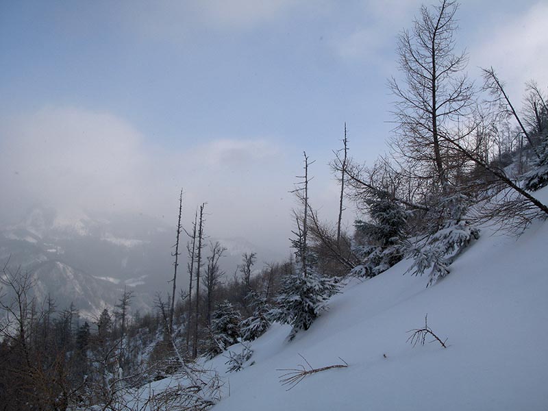 obersberg